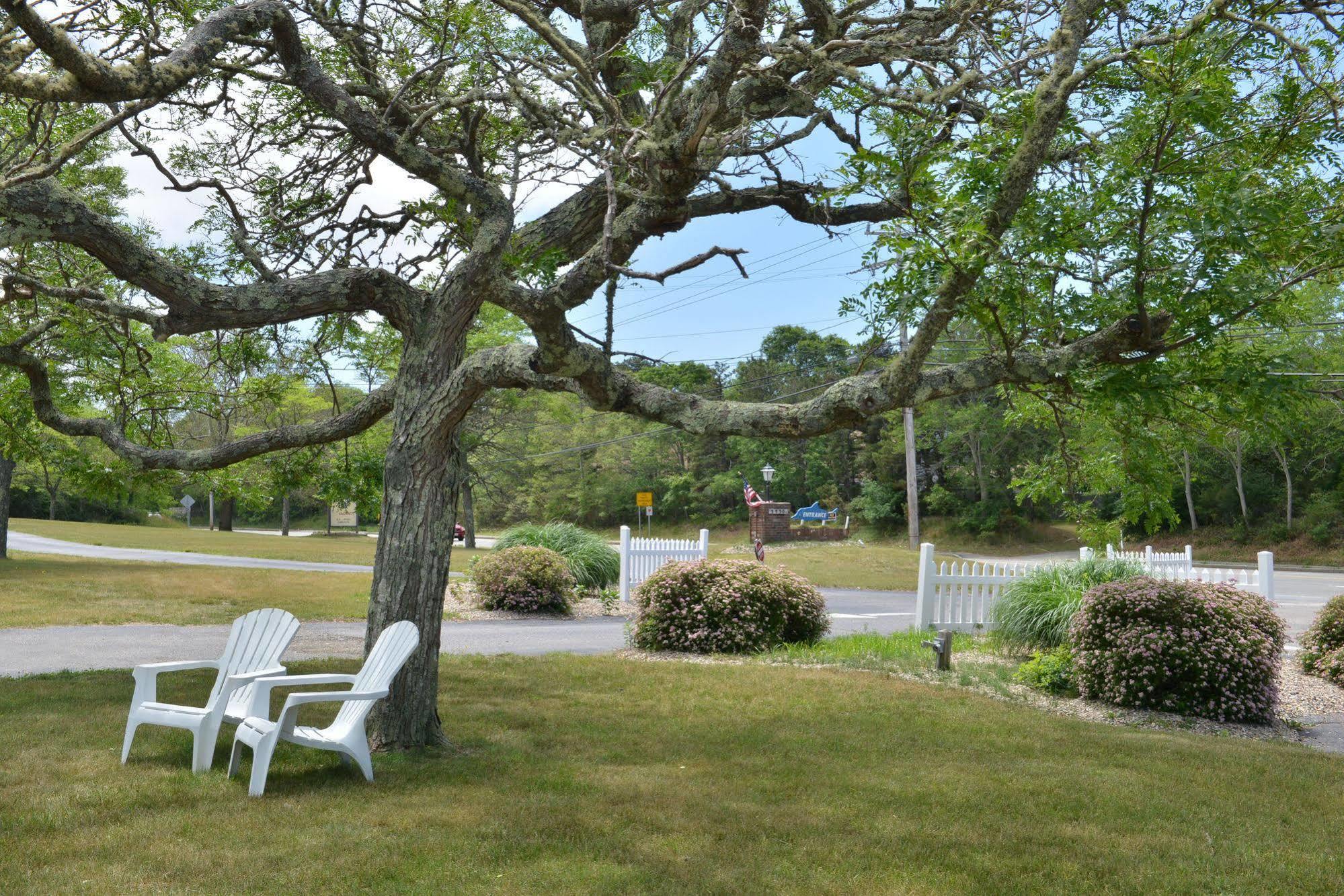 Blue Dolphin Inn Eastham Exterior photo